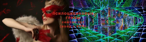 соль курить ск Алзамай