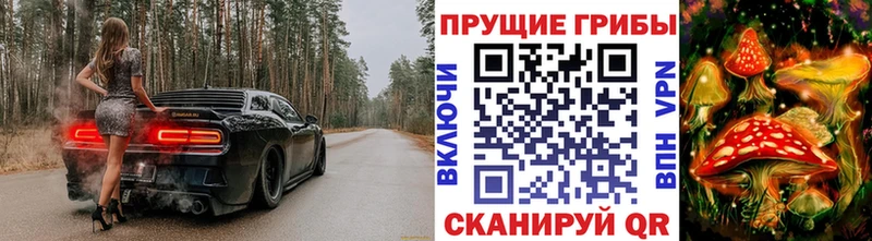 Галлюциногенные грибы прущие грибы  Чадан 
