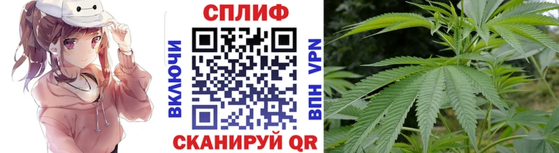 Бошки марихуана тримм  Чадан 
